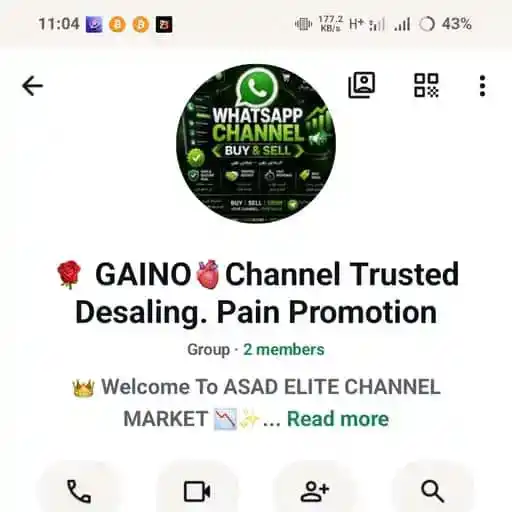 🌹 GAiNO🫀Channel Trusted Desaling. Pain Promotion — pakistan WhatsApp group
