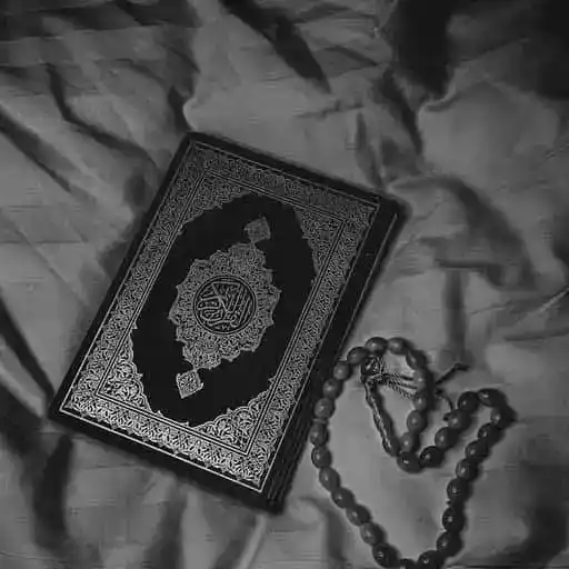 Tafseer-e-Quran 💫❣️ — entertainment WhatsApp group
