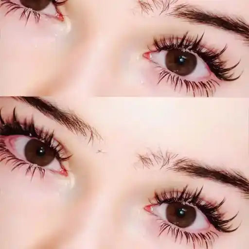 𝐵𝐸𝐴𝑈𝑇𝐼𝐶𝐼𝐴𝑁 𝐶𝑂𝑈𝑅𝑆𝐸 💄💅 — other WhatsApp group
