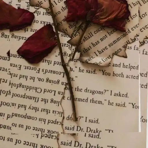"Ξ⤹³ꜛ𓆩 𝑊𝛥𝛮𝑇𝛯𝐷 𝛭𝛬𝛨𝛪 ꜛ⸙𓆪ː
"Ξ⤹³𝐶𝛶𝐼𝛭𝛮𝐼𝛬𝐿ꜛ⸙𓆪ː — other WhatsApp Group