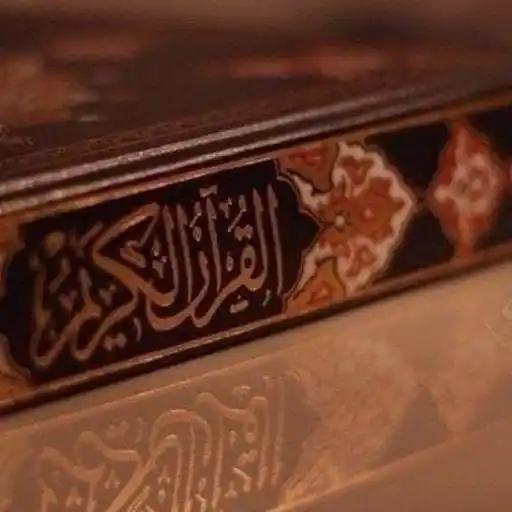 Quran academy — education WhatsApp Group