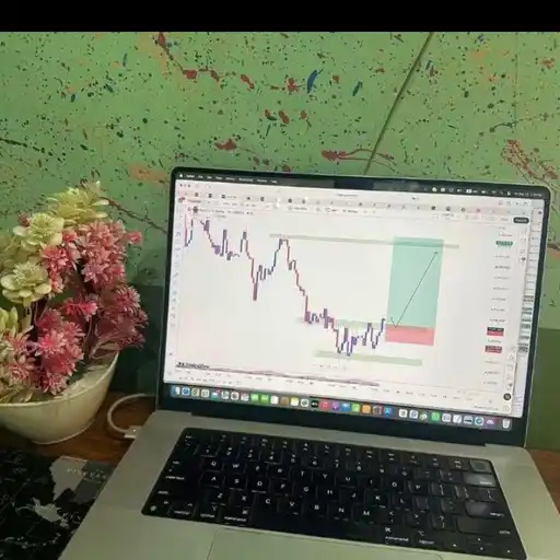 mentor gold master โ forex WhatsApp Group